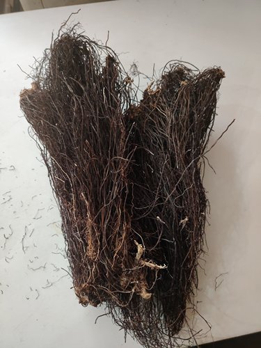 东北威灵仙中药材红毛威灵仙山辣椒秧百条根老虎须铁扫帚新干货