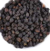 东北刺五加籽野生刺五加子果新鲜生晒干货土特产250g 包邮 五加皮参