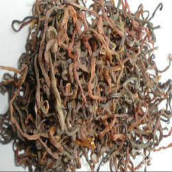 东北山野菜 牛毛广 薇菜干新鲜山野菜非蕨菜延边脱水山菜250g包邮