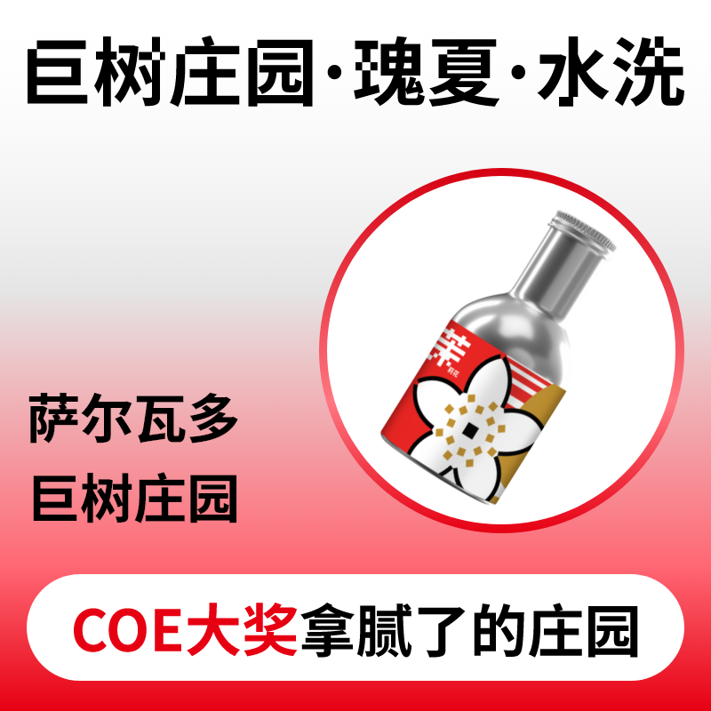 捌比特萨尔瓦多巨树庄园瑰夏水洗浅烘精品手冲咖啡豆100g