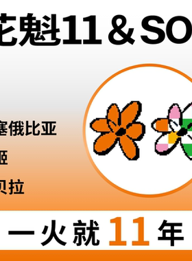 捌比特咖啡花魁11花魁x日晒SOE埃塞俄比亚罕贝拉手冲意式咖啡豆