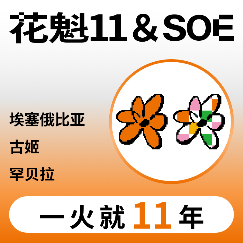 捌比特埃塞俄比亚花魁11250g
