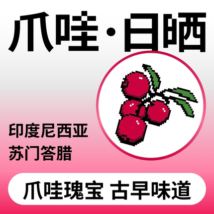 捌比特印尼苏门答腊爪哇Java浅中烘焙手冲日晒精品咖啡豆100g