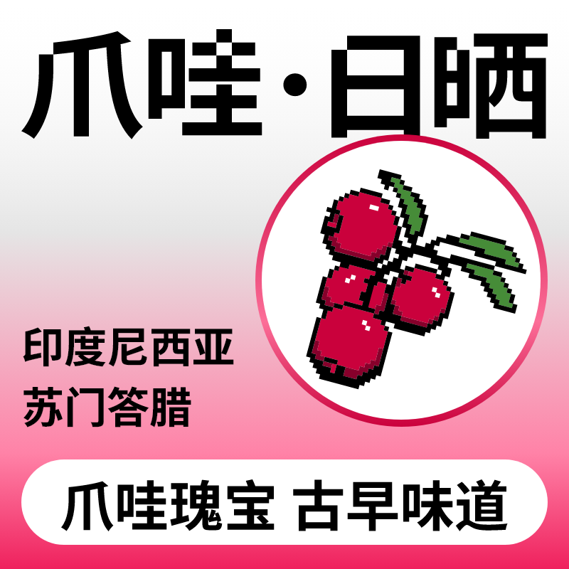 捌比特印尼苏门答腊爪哇Java浅中烘焙手冲日晒精品咖啡豆100g