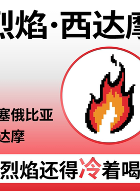 捌比特微批次埃塞俄比亚 西达摩 烈焰水洗冷萃手冲精品咖啡豆250g