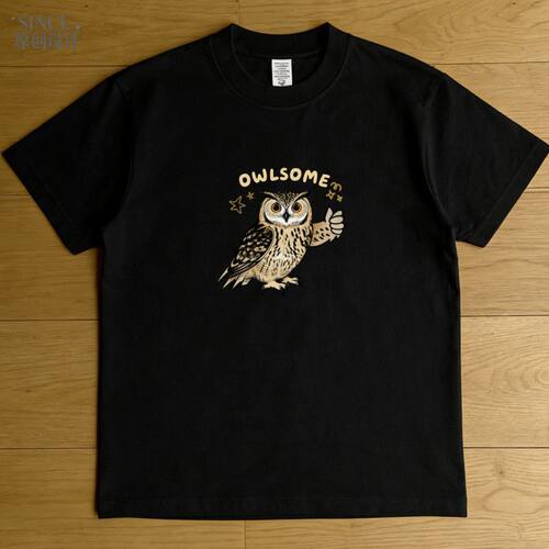 OWLSOME猫头鹰 meme图鉴趣味短袖设计感宽松T恤纯棉鸟类观赏观鸟