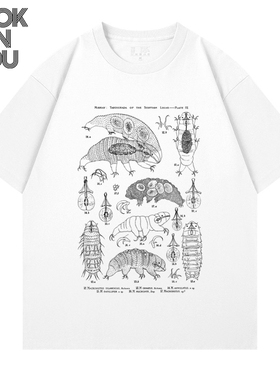 水熊Tardigrade动物微生物科普知识印花短袖男女宽松休闲百搭