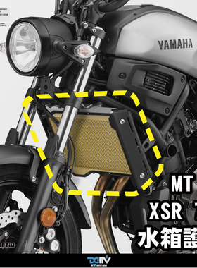 Dimotiv 适用YAMAHA雅马哈 MT 07 XSR700 铝合金散热水箱护网 DMV