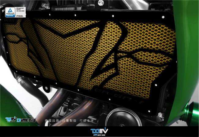 德国 DIMOTIV KAWASAKI 川崎 ER6N ER6F 造型款散热水箱护网 DMV