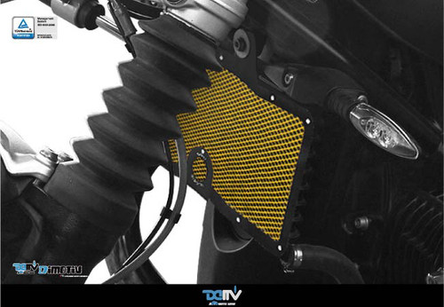DIMOTIV 适用BMW宝马 R NINE T 拿铁 LOPO款油冷散热水箱护网 DMV