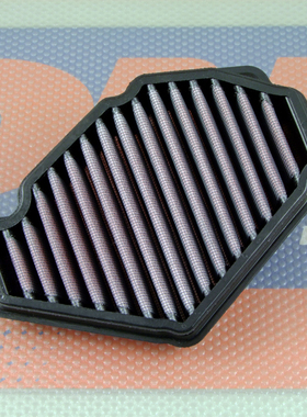 希腊DNA KAWASAKI 川崎 NINJA H2 SX 高流量空气滤芯空滤进气风格