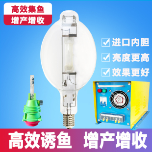 大功率集渔灯鱼船捕鱼灯泡1000瓦2000W防水诱鱼灯空中水下聚鱼灯