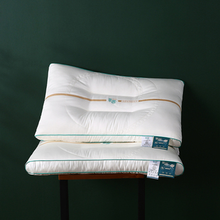 埃迪蒙托新品刺绣氧颜蛋白SPA透气护颈椎枕芯安睡美容枕头