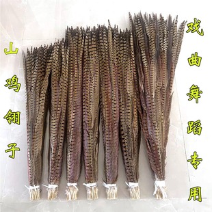 舞台表演羽毛山鸡毛野鸡羽毛diy逗猫棒羽毛京戏曲翎子山鸡尾装饰