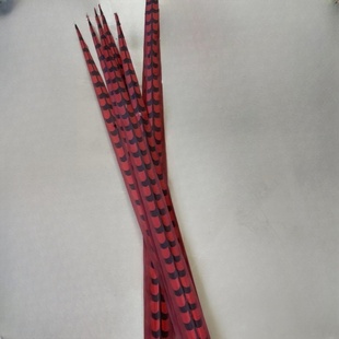 红色翎毛头饰京剧翎子豫剧翎羽旦花翎座古装舞蹈戏剧鸡毛翎羽灵羽