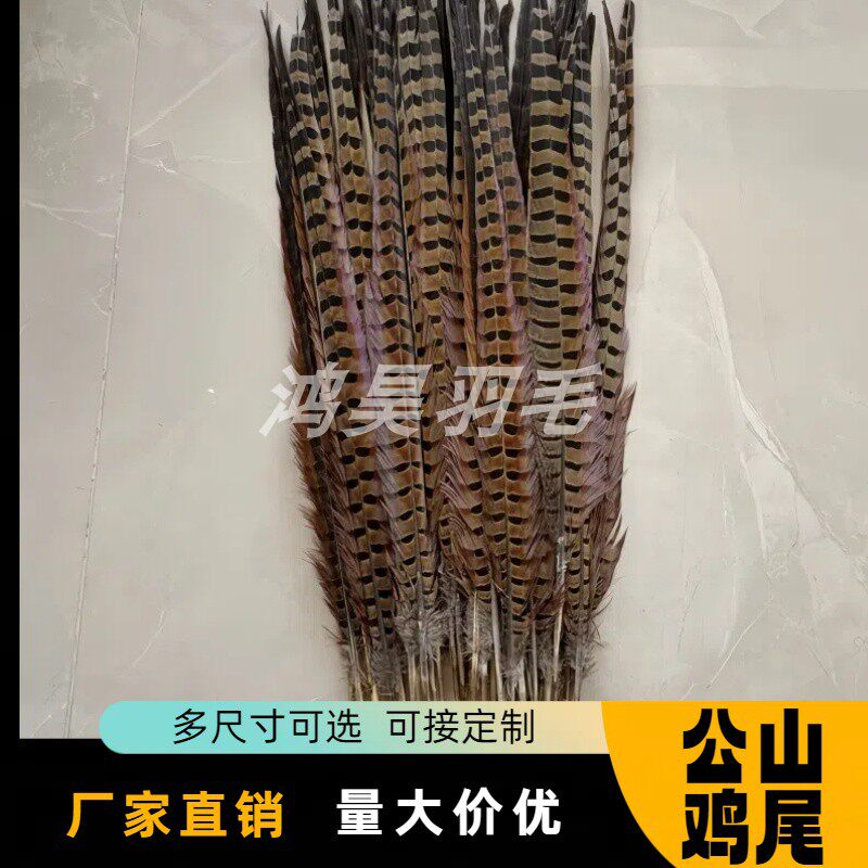 天然野鸡毛地鸡毛逗猫羽毛棒山鸡羽毛京戏翎子山鸡尾25-100cm
