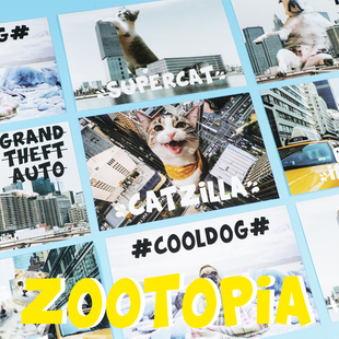 猫咪宠物疯狂动物城贴纸1张