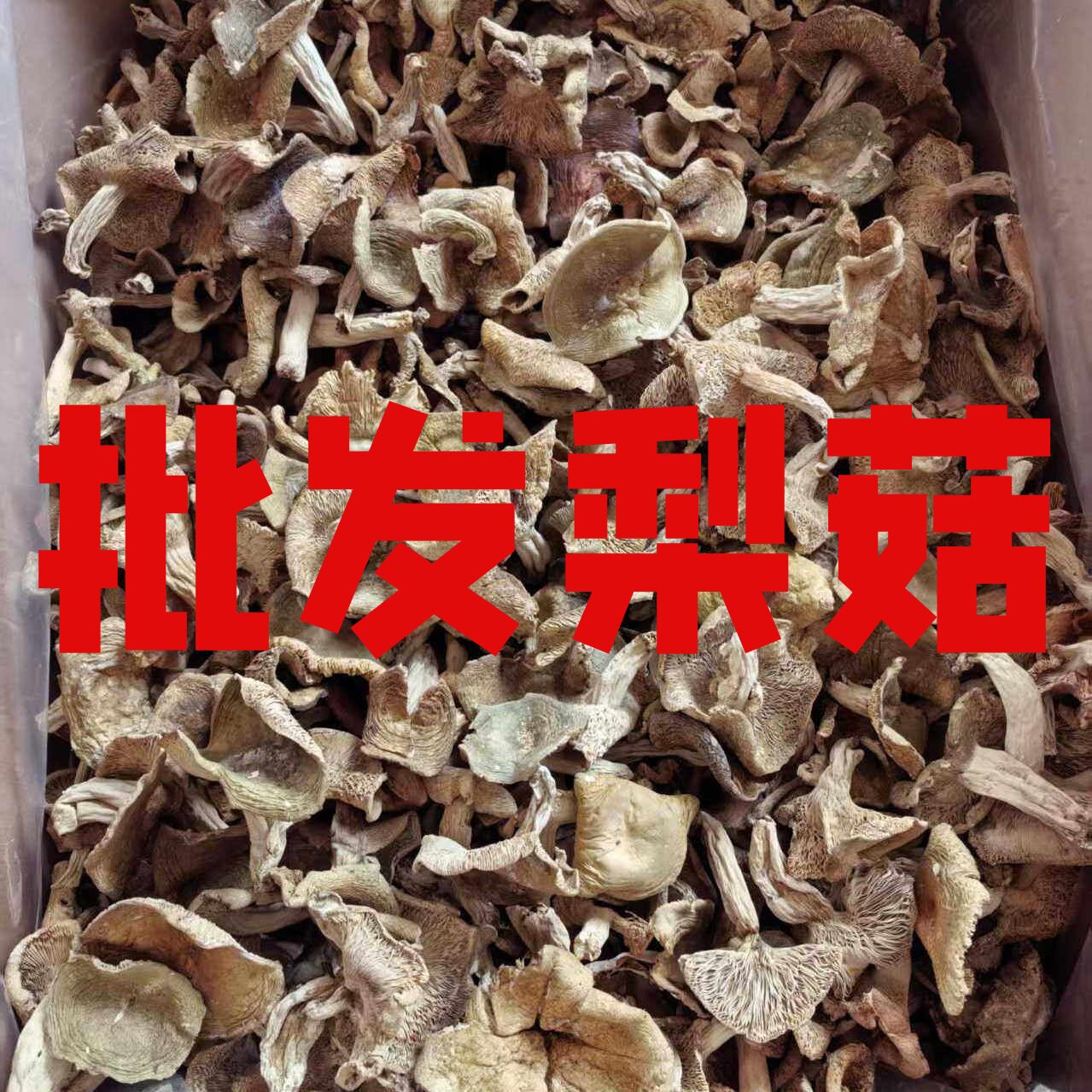 河南特产 野生 青头菌 干货青面 梨菇 绿豆菌 山货杂菇500克包邮