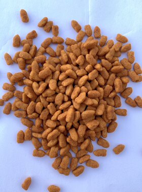 新比全猫期全阶段成幼猫