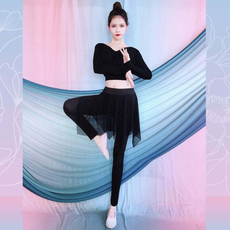 新款拉丁舞服女成人套装形体舞蹈服莫代尔瑜伽练功古典跳舞衣民族