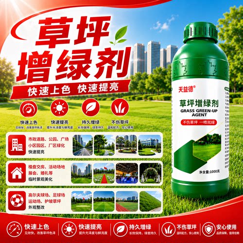 婚礼草坪专用增绿剂专用快速草皮染色剂园林黄叶一喷绿安全不伤草