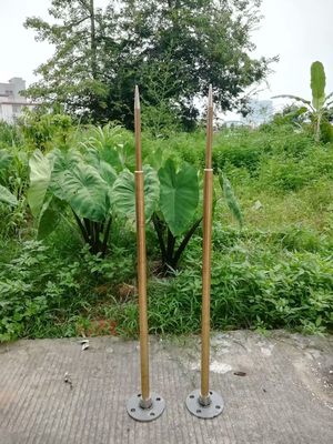 纯铜制造避雷针单针防雷接地专用