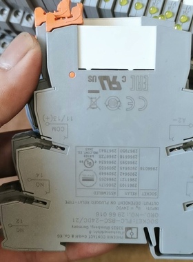 德国菲尼克斯PLC-BSC-24VDC/21 296601继电器2961105 24VDC  现货