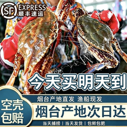 【保鲜不保活】莱州飞蟹梭子蟹活鲜野生海捕大白蟹新鲜次日达顺丰