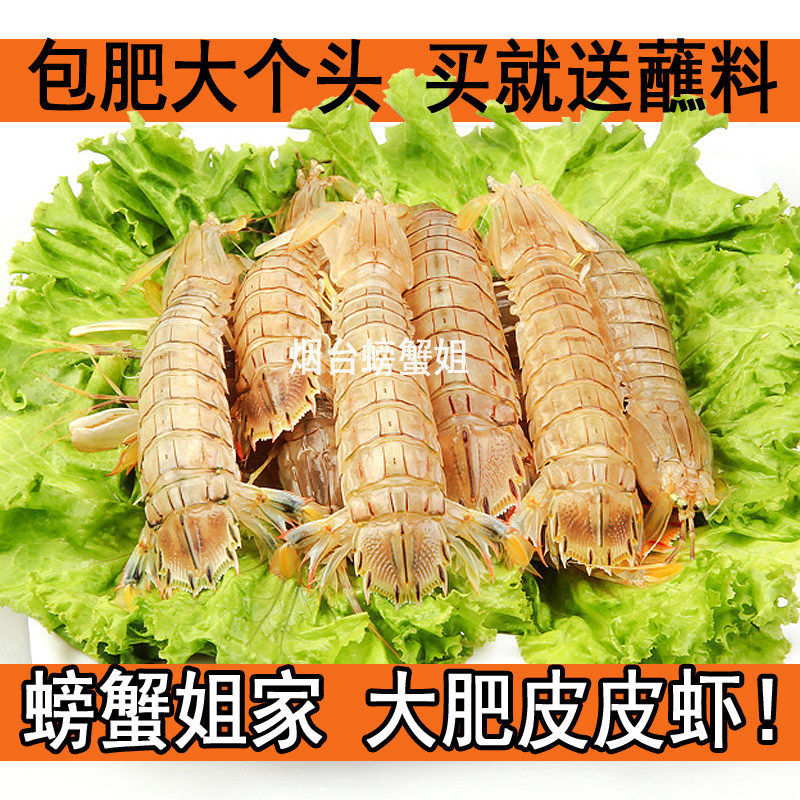 皮皮虾鲜活海鲜皮皮虾超特大虾爬子虾婆虾姑琵琶虾濑尿虾虾虎1斤