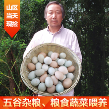 包邮 山里爸爸 土鸡正宗农村自养鲜土鸡蛋农家散养野外月子50个枚