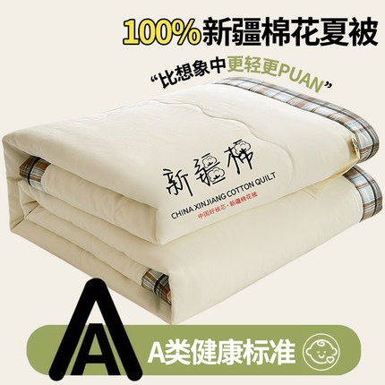新疆棉花夏凉被100%纯棉花被芯A类健康标准可机洗空调被夏季薄被