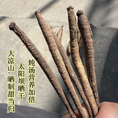 四川大凉山正宗高原野生甜当归干货纯太阳晒干无硫整枝炖煲汤材料