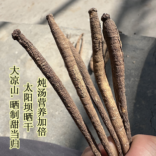 四川大凉山正宗高原野生甜当归干货纯太阳晒干无硫整枝炖煲汤材料