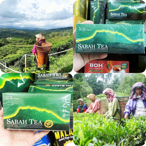 SabahTea红茶包进口红茶
