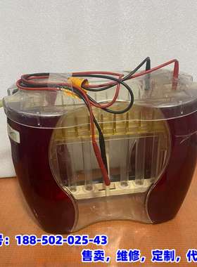 议价，思拓凡 SE600 RUBY 标准双向垂直电泳仪，实物图片，