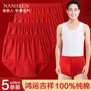本命年红色全棉爸爸三角裤 纯棉高腰大码 头 内裤 南极人中老年人男士