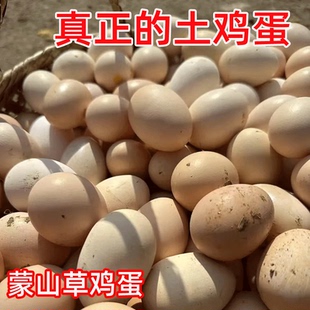 沂蒙山草鸡蛋农村农家新鲜笨鸡蛋蒙山自家土鸡蛋正宗散养山林正宗