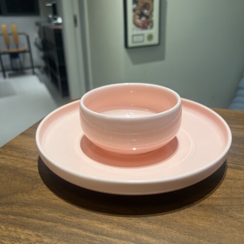 Tuxton粉色陶瓷碗釉下彩ins米饭碗水果碗蒸蛋碗喝汤喝粥餐盘菜碟