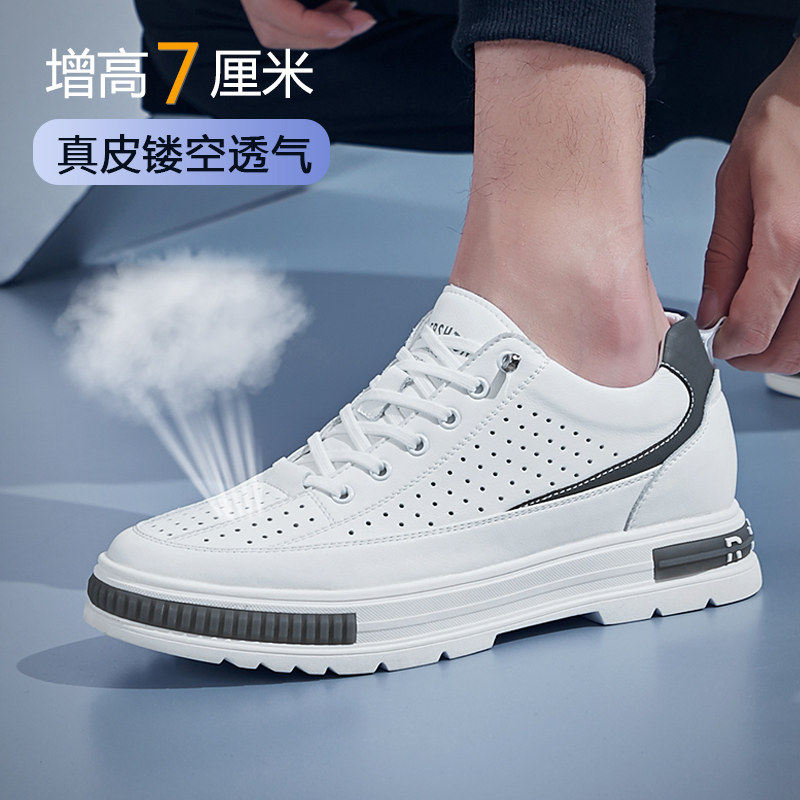 板鞋卓高乐小白鞋休闲