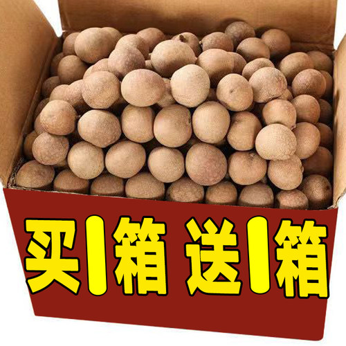 龙眼干非无核桂圆干500g买1送1