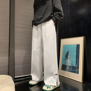 2025秋装男生休闲裤港风宽松直筒阔腿裤D201-DM161-P40图片