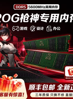三星DDR55600游戏笔记本内存