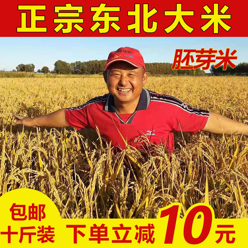 东北农户种植胚芽米10稻花香大米