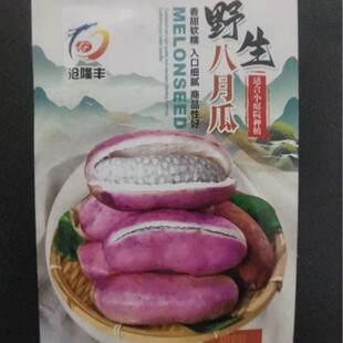 野生八月瓜种子紫果八月瓜树种子庭院爬藤植物食用水果八月炸种子