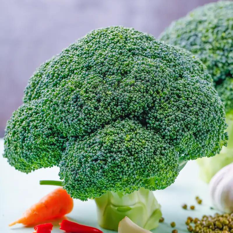 绿宝石西兰花种子花椰菜籽秋优秀西兰花高产花菜西兰花种籽孑耐寒