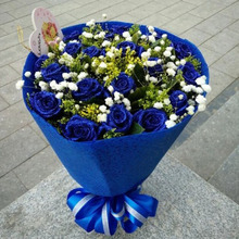 全国送花鲜花速递19朵33朵蓝色妖姬玫瑰11朵蓝玫瑰花束合肥石家庄