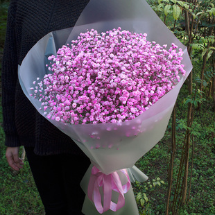 苏州鲜花速递同城满天星花束礼盒沧浪平江虎丘吴中相城生日送花店