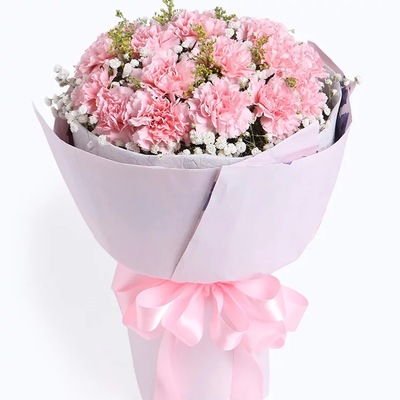 康乃馨鲜花速递深圳福田罗湖南山盐田宝安龙岗龙华坪山光明同城送