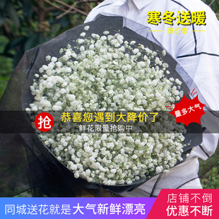 苏州鲜花满天星花束鲜花速递同城相城常熟张家港昆山生日配送花店