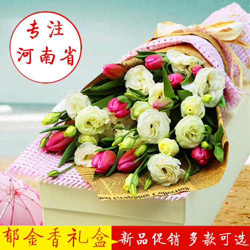 郁金香礼盒装郑州市区鲜花速递
